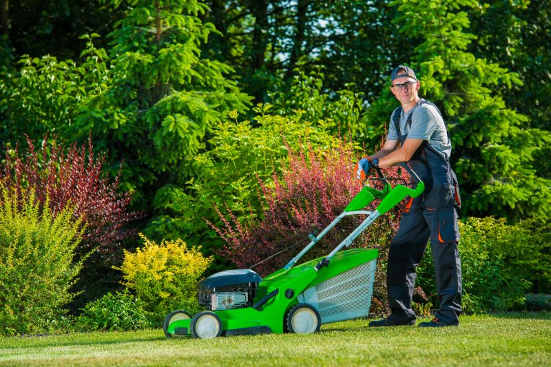 Business Lawn Maintenance detail