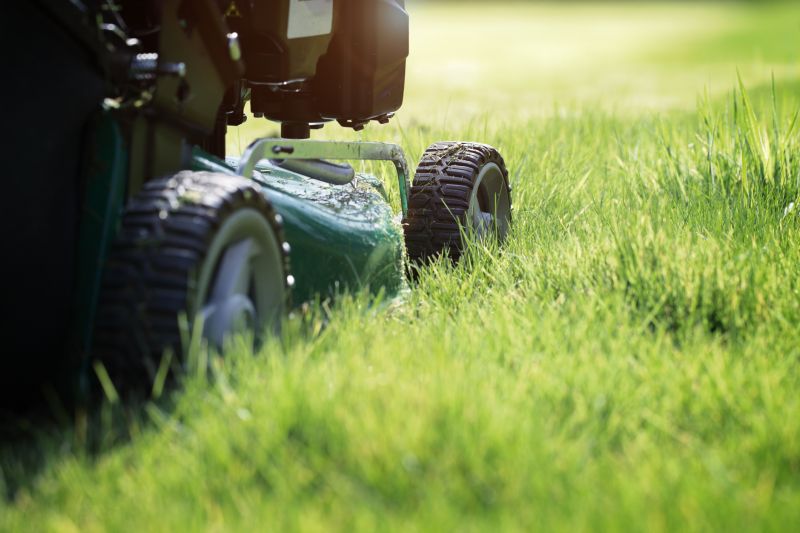 Close-up of Grass Cutting