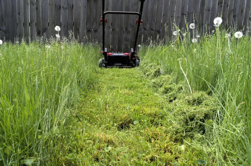 Tall Grass Mowing