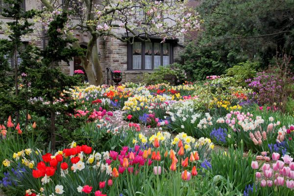 Garden Maintenance Service