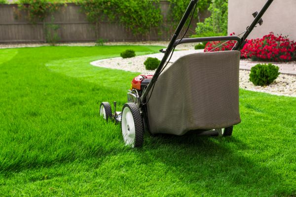 Lawn Service