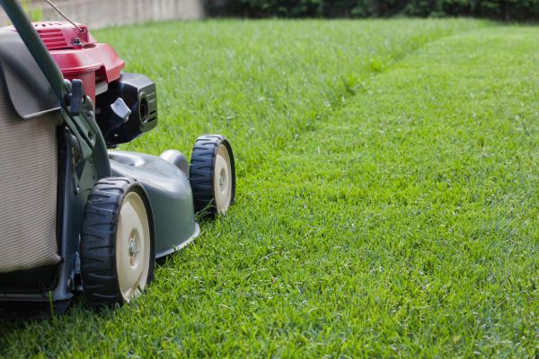Residential Lawn Care in Huntington Station