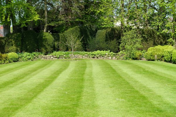 Grass Care Service in Huntington Station