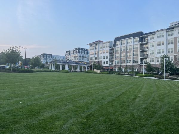 Urban Lawn Care Service