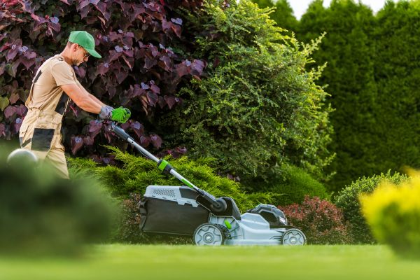 Lawn Management in Huntington Station