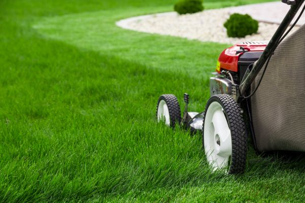 Recurring Grass Care