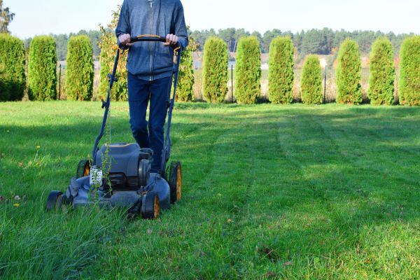 Lawn Care Solutions Service