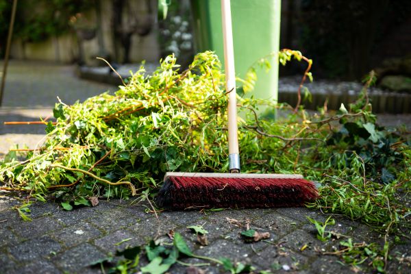 Landscape Cleanup