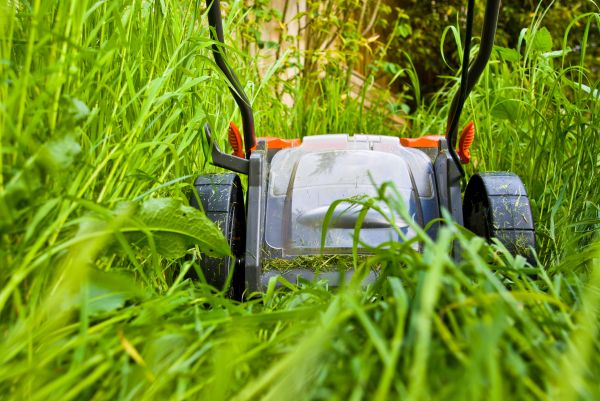 Unkempt Lawn Service