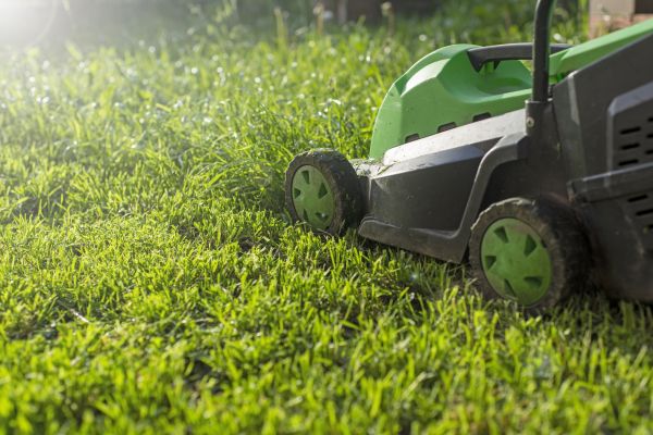 Residential Lawn Maintenance Service