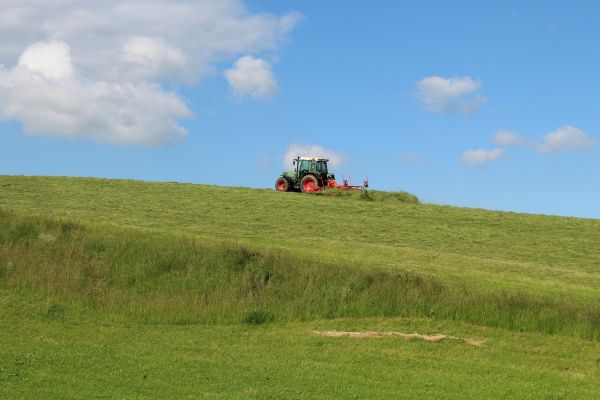 Steep Terrain Mowing