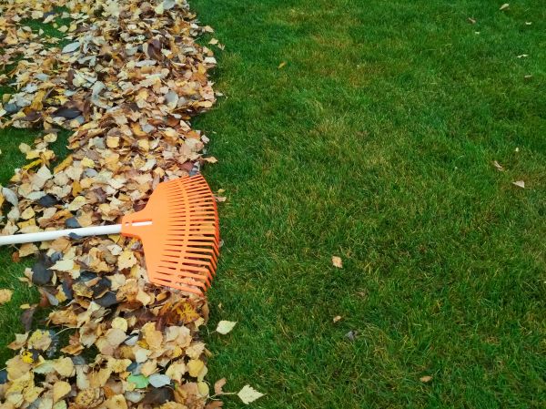 Fall Lawn Care Service