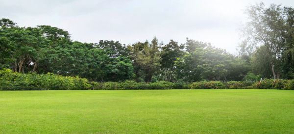 Golf Course Mowing in Huntington Station