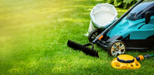 Autumn Lawn Care