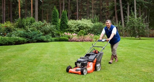 Seasonal Mowing