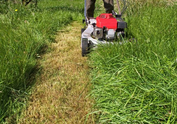 Leaf Mowing in Huntington Station