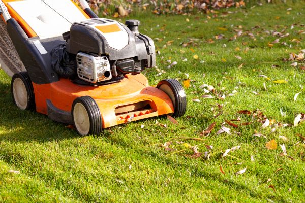 Autumn Grass Trimming