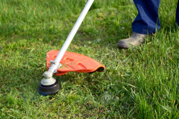 Lawn Weed Whacking in Huntington Station